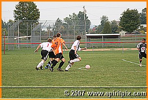 IMG_7986.JPG
