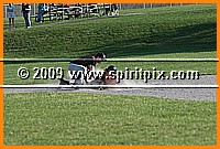 IMG_2978.JPG