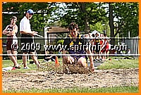 IMG_4795.JPG