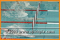 IMG_2577.JPG