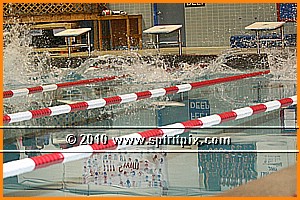 IMG_4795.JPG