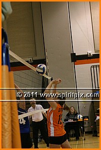 IMG_9377.JPG