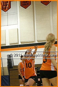 IMG_9528.JPG