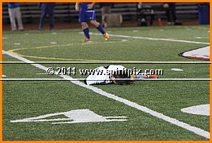 IMG_1031.JPG