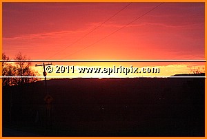 IMG_3103.JPG