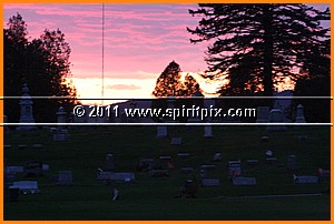 IMG_3115.JPG