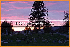 IMG_3117.JPG