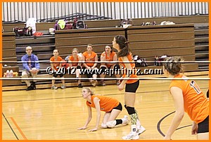 IMG_4216.JPG