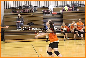 IMG_4261.JPG