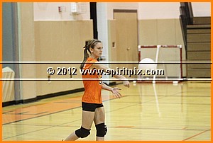 IMG_4349.JPG