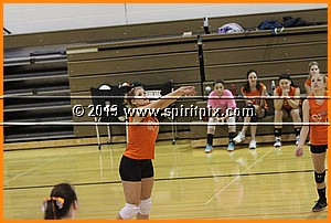 IMG_2216.JPG