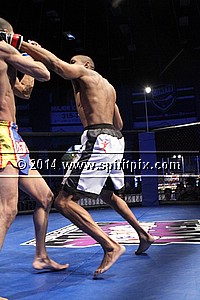 IMG_0776.JPG