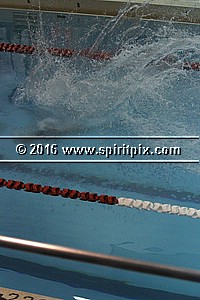 IMG_2175.JPG
