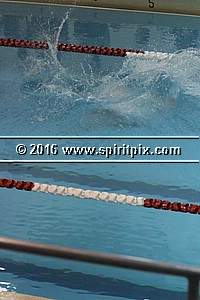 IMG_2221.JPG