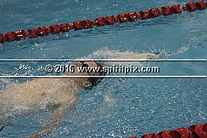 IMG_2353.JPG