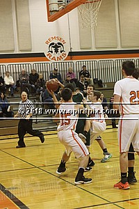 IMG_4537.JPG
