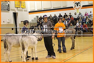 IMG_7368.JPG