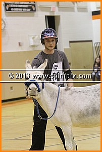 IMG_7378.JPG