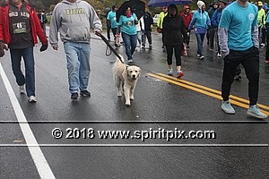 IMG_5477.JPG