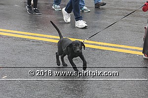 IMG_5517.JPG